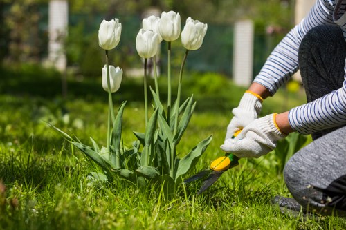 Safe and trusted Tree Surgeons Staines payment area with multiple methods
