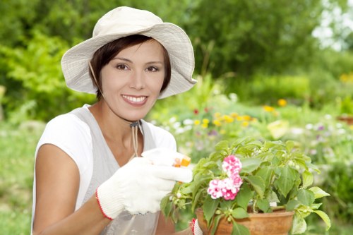 Regular hedge maintenance for a commercial property in Staines