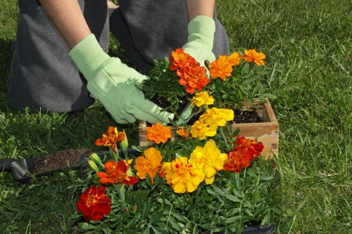 Customer care and complaint resolution for tree surgeons