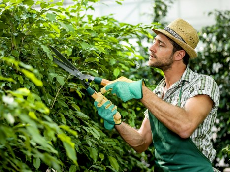 Professional tree care improving safety and appearance around a property in Staines