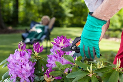 A written complaints process for tree surgeons being assessed
