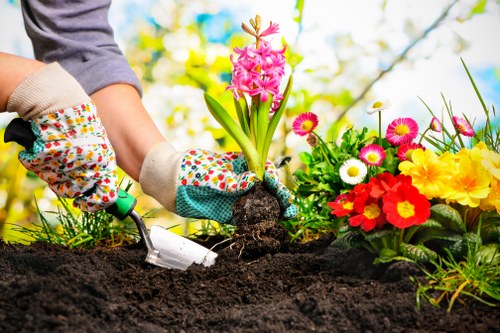 Final terms agreement for tree surgery services