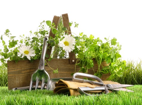Keyboard navigation support for an accessible Staines tree surgery website