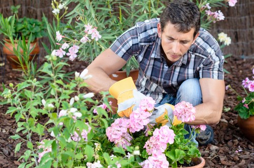 SSL-encrypted Tree Surgeons Staines payments processing